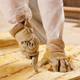 Illustration for article titled Attic Insulation Contractor MNem/em